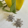 Shining Star Earring