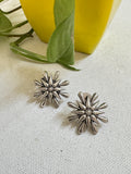 Shining Star Earring