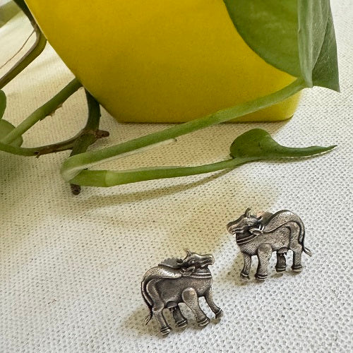 Nandi Stud