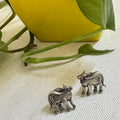 Nandi Stud